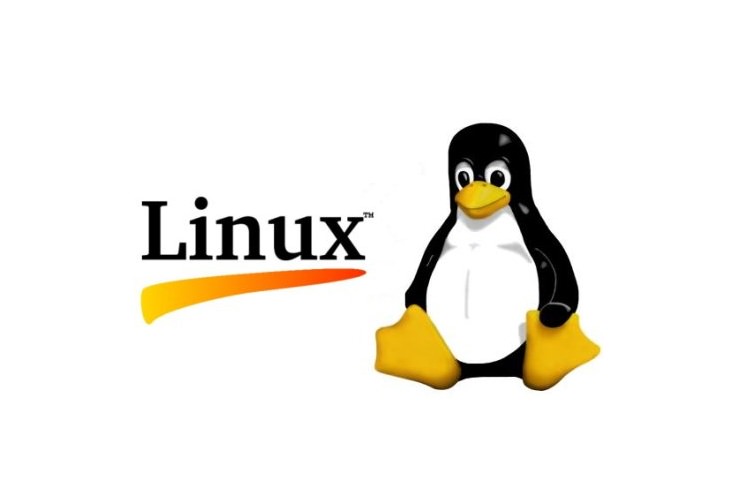 A Set of Commands for Managing and Monitoring Processes in Linux